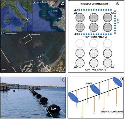 Biofouling Role in Mariculture Environment Restoration: An Example in the Mar Grande of Taranto (Mediterranean Sea)